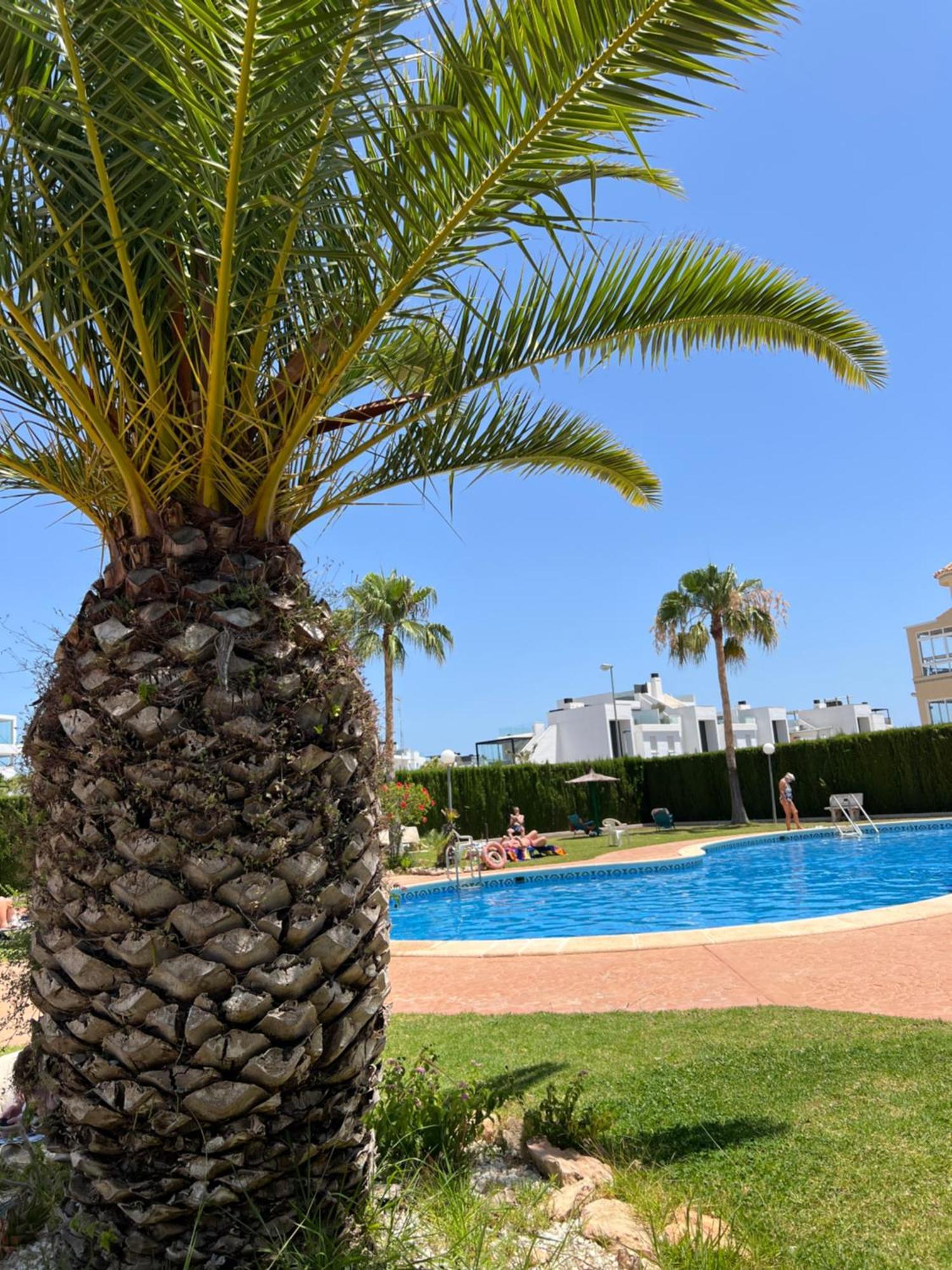 Lovely With A Sunny Terrace Apartment Torrevieja
